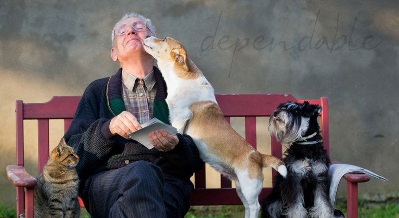 dog licking owner's face